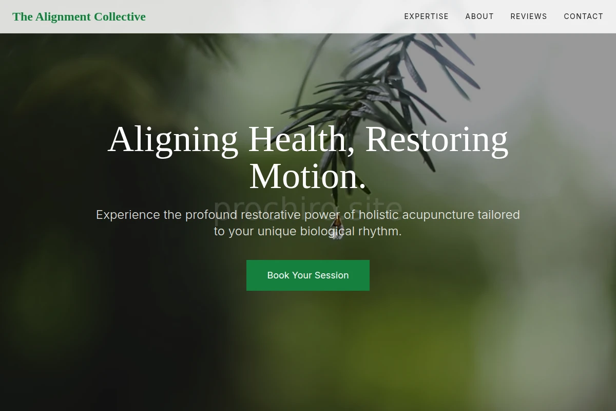 Holistic Acupuncture